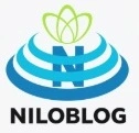 دسپینا وندی، خواننده دلها